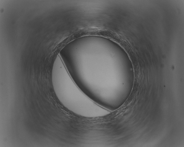 X0000074341301200608251035