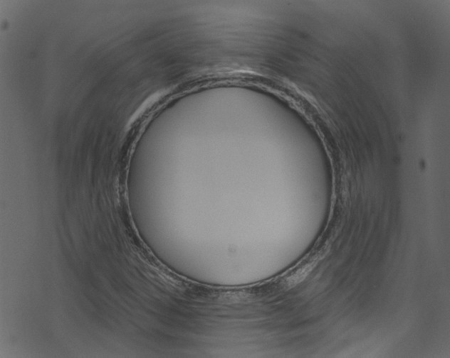 X0000074341306200608251035