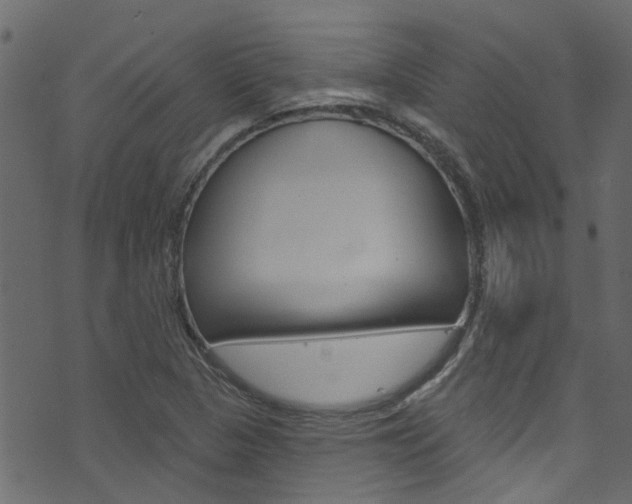 X0000074341313200608251035