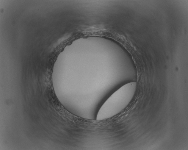 X0000074341350200608251035