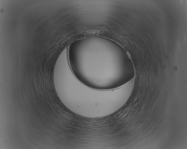 X0000074341394200608251033