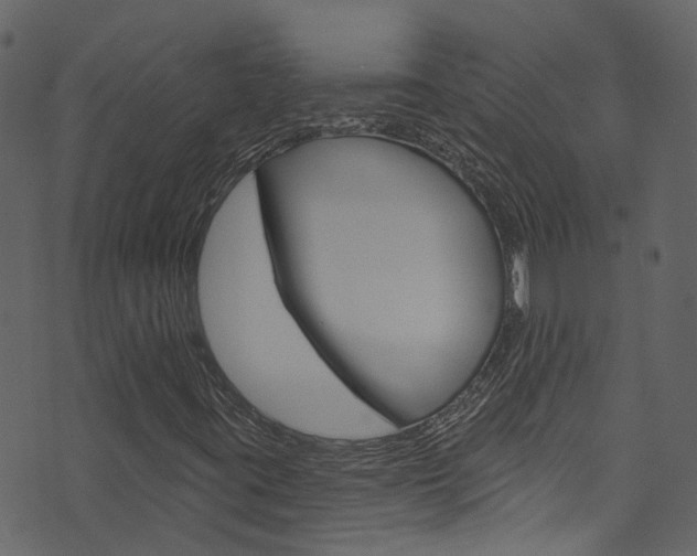 X0000074341395200608251033