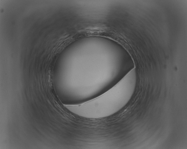 X0000074341396200608251033