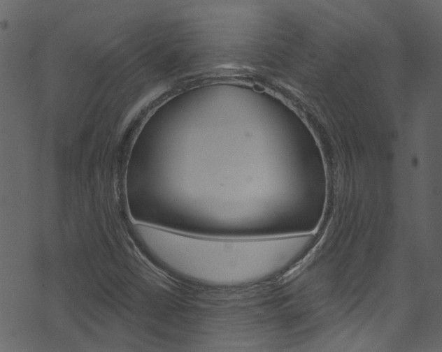 X0000074341402200608251033