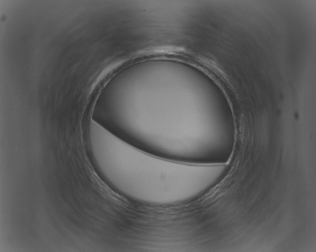 X0000074341404200608251033