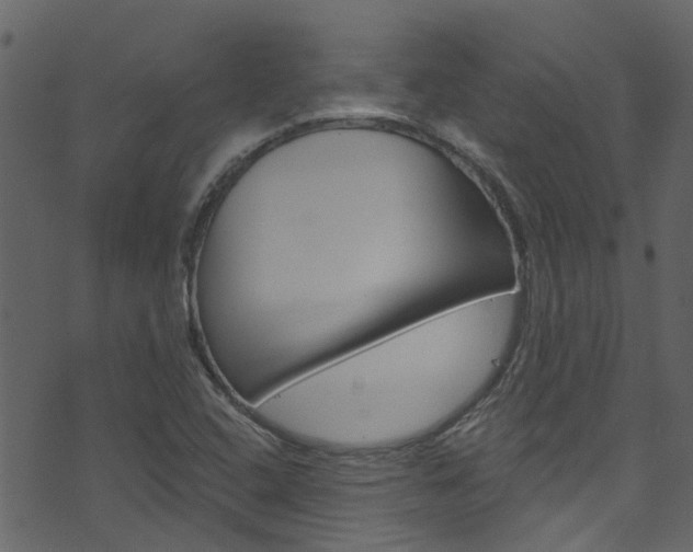 X0000074341408200608251034