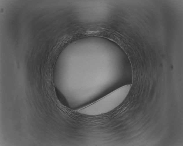 X0000074341441200608251033