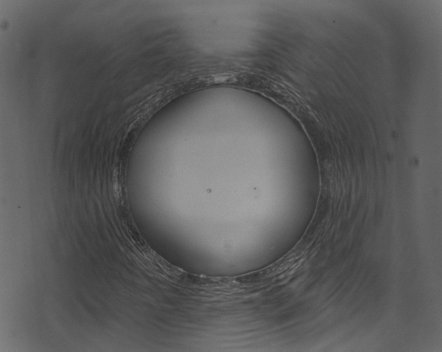 X0000074341442200608251033