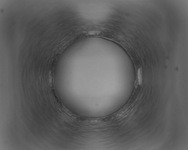 X0000074341443200608251033