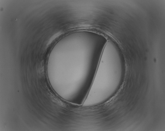 X0000074341450200608251033
