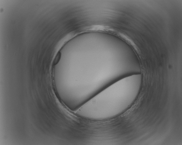 X0000074341475200608251033