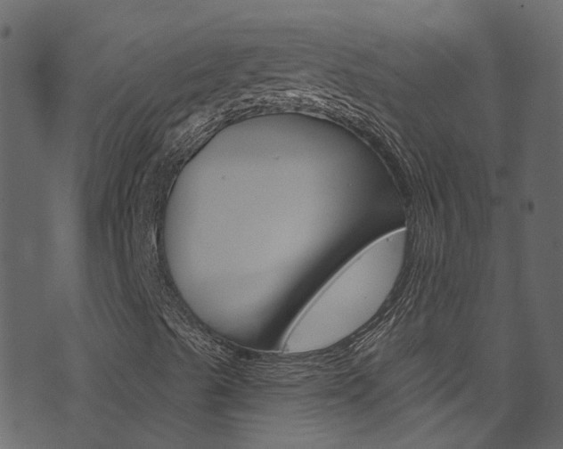 X0000074341489200608251032