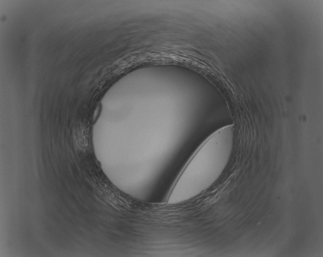 X0000074341490200608251032