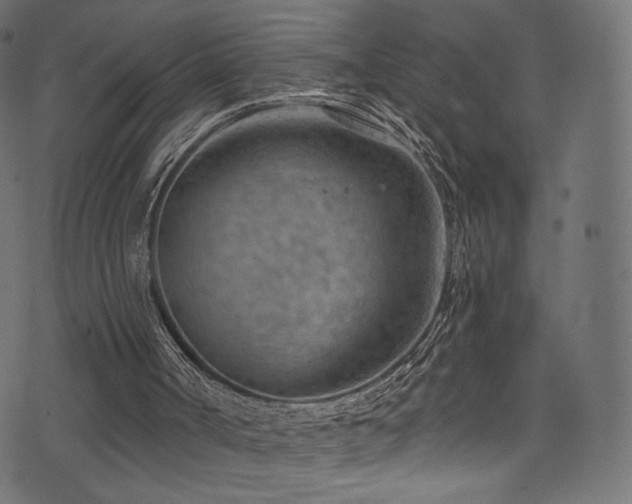 X0000074340002200608251402