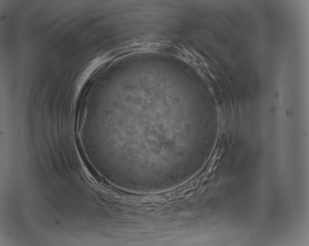 X0000074340003200608251402