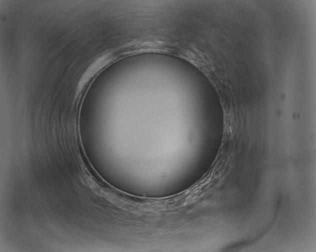 X0000074340004200608251402