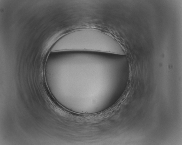 X0000074340005200608251402