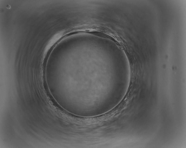 X0000074340006200608251402