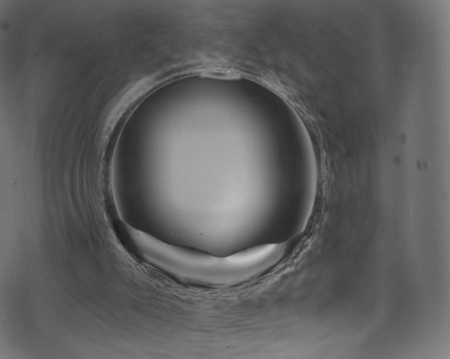 X0000074340007200608251402