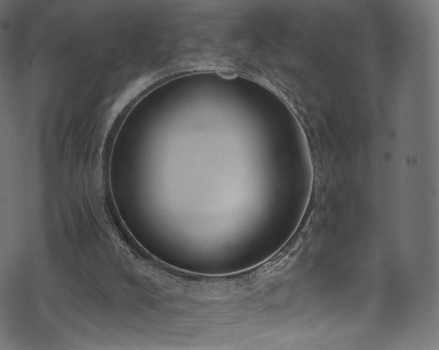 X0000074340008200608251402