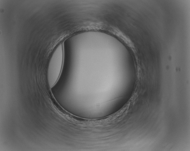 X0000074340009200608251402