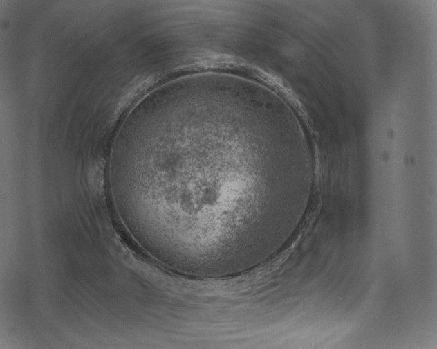 X0000074340010200608251402