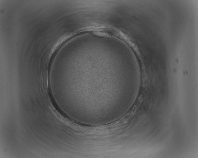 X0000074340011200608251402