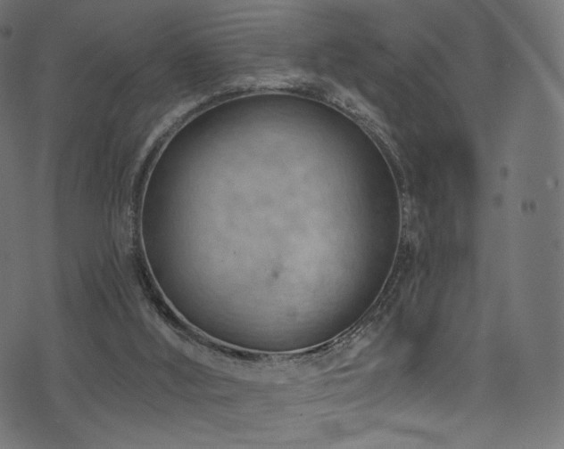 X0000074340012200608251402