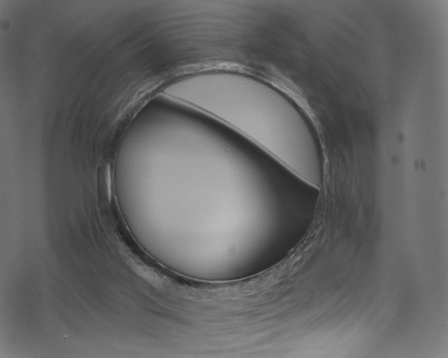 X0000074340013200608251402