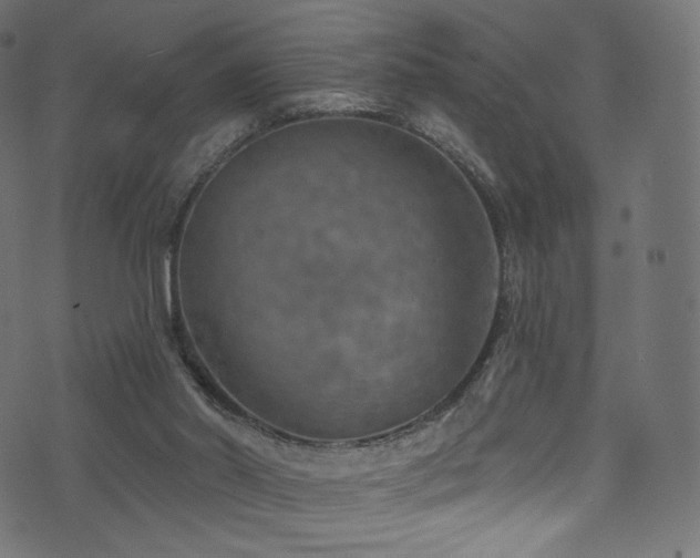 X0000074340014200608251402