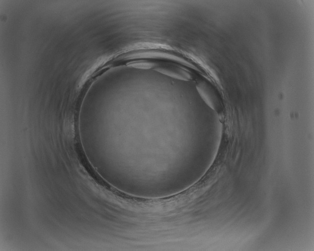 X0000074340015200608251402