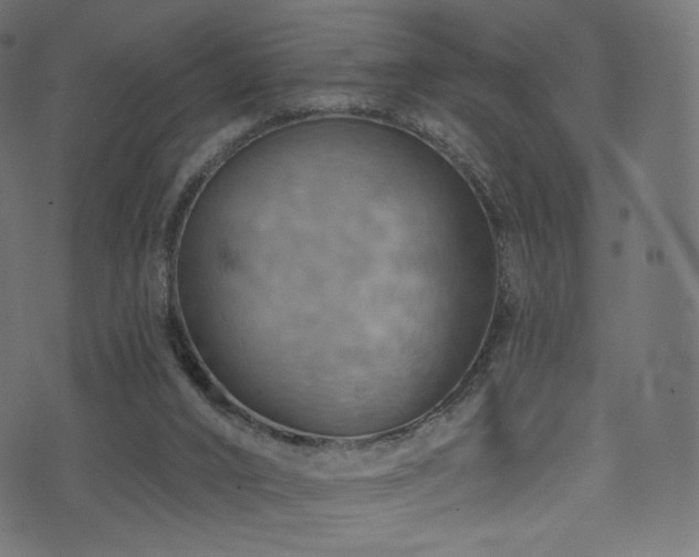 X0000074340016200608251402