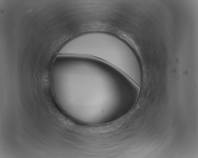 X0000074340017200608251402