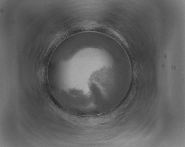 X0000074340018200608251402