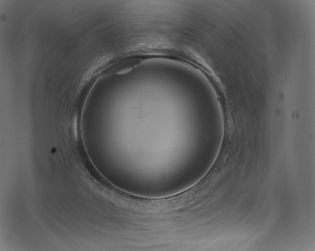 X0000074340019200608251402