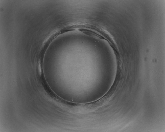 X0000074340020200608251402