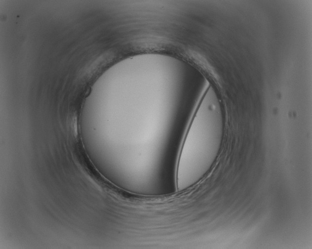 X0000074340021200608251402