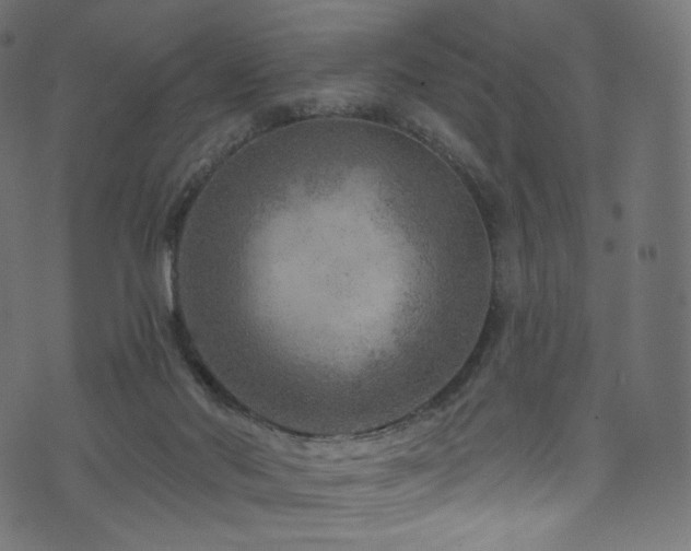 X0000074340022200608251402