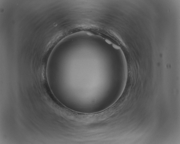 X0000074340023200608251402