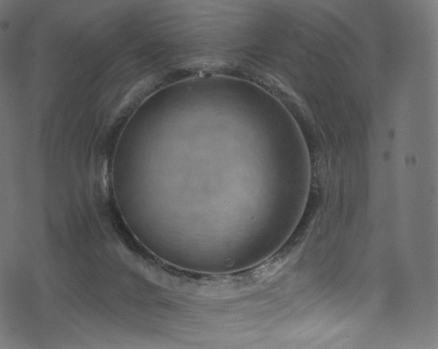 X0000074340024200608251402