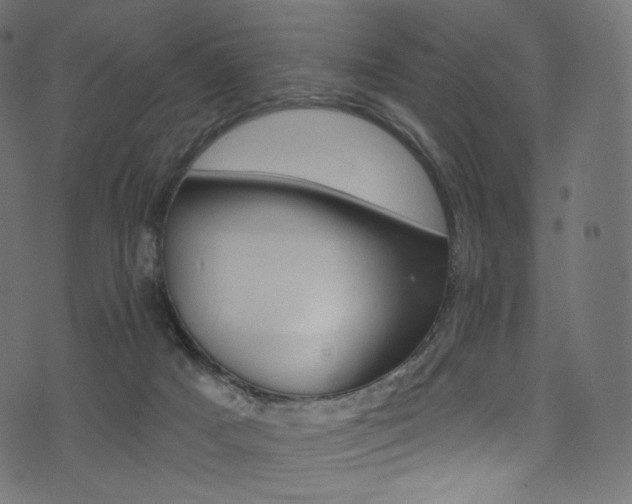 X0000074340025200608251402