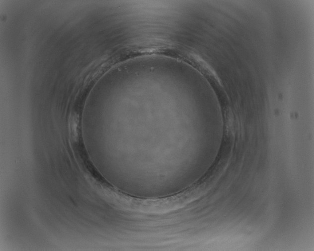 X0000074340026200608251402