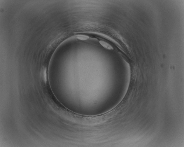 X0000074340027200608251402