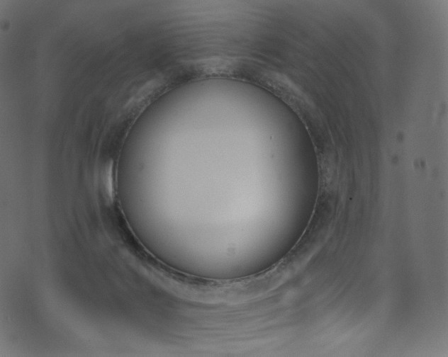 X0000074340028200608251402