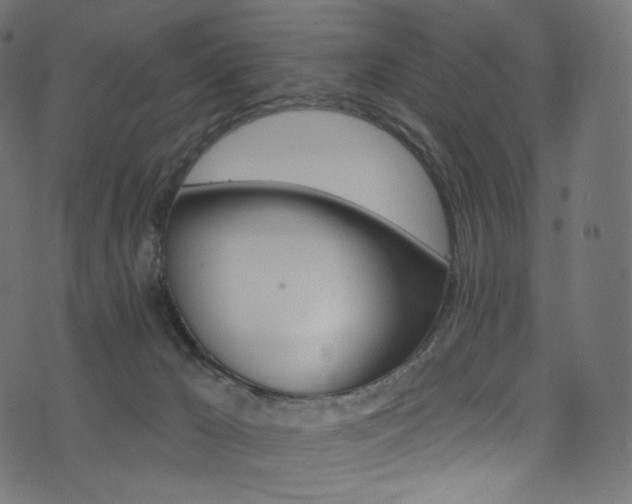 X0000074340029200608251402