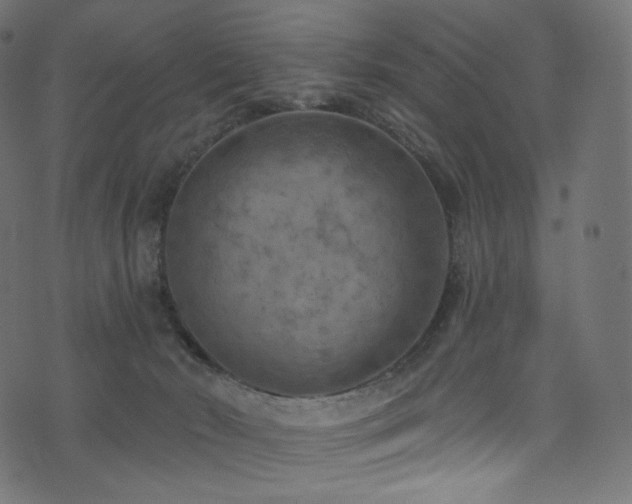 X0000074340030200608251402