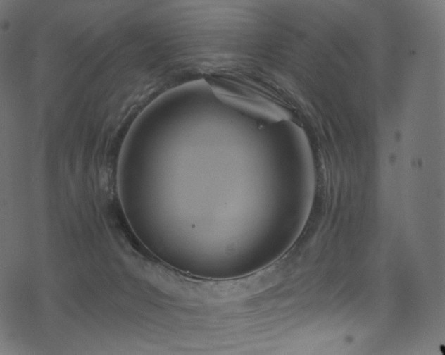 X0000074340031200608251402