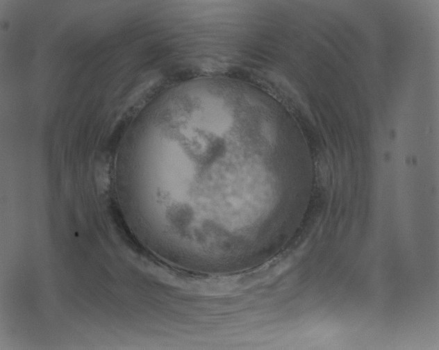 X0000074340032200608251402