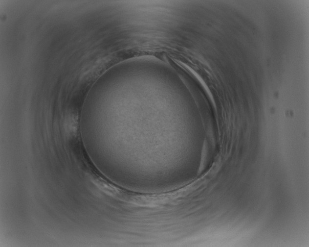 X0000074340033200608251402