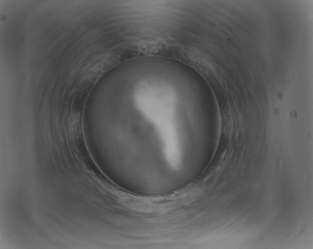 X0000074340034200608251402